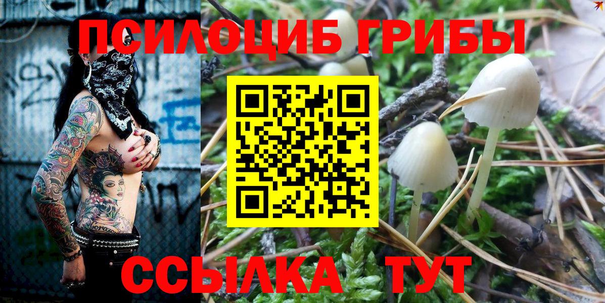 Псилоцибиновые грибы MAGIC MUSHROOMS  Галлюциногенные грибы Magic Shrooms  Вход с VPN  Балашов 